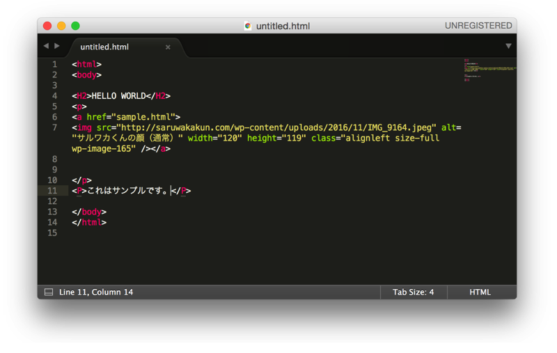 sublime text