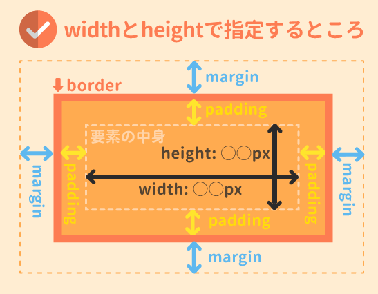 widthとheightはボックスモデルのどこに