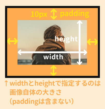 heightとwidth