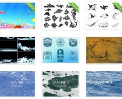 7月にぴったりの素材