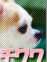 写真をドット絵にする方法