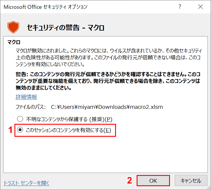 Microsoft Office セキュリティ オプション