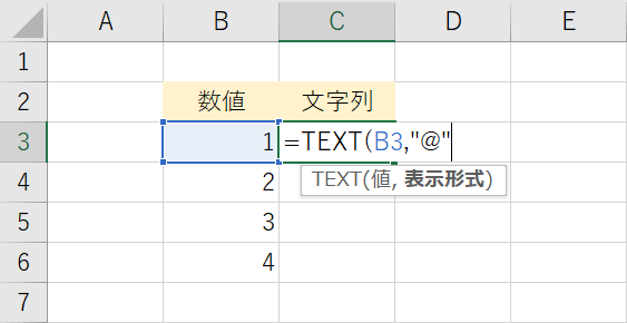 表示形式の入力