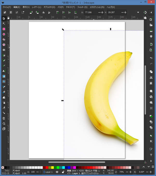 4. 指定した画像ファイルがインポートされる