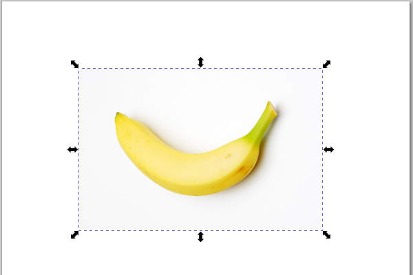 7. 下絵の画像を適切な角度に調整する