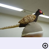 安田大サーカス 写真集用 小道具