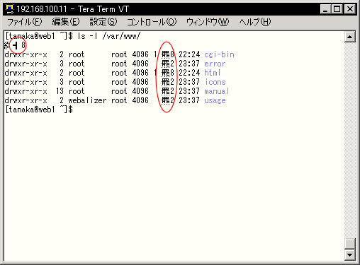 �T�[�o�[�ƃN���C�A���g�̕����Z�b�g����v���Ȃ��ꍇ(TeraTermPro)