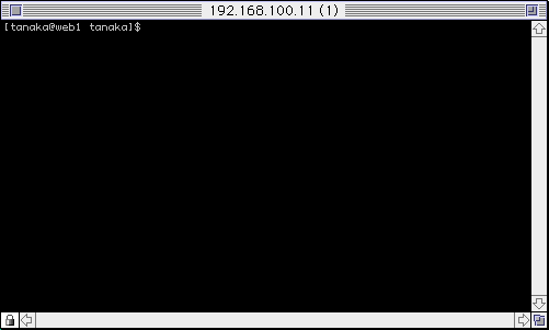 �T�[�o�[�ւ̃��O�C������