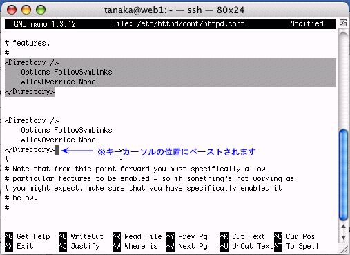 MacOSX�ł̃y�[�X�g����