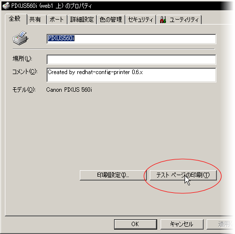 �e�X�g��������s����