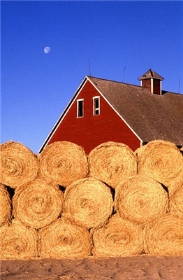 Stack�̃C���[�W