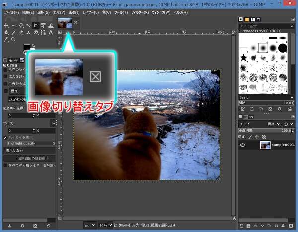 画像を1つ開いたキャンバスの状態