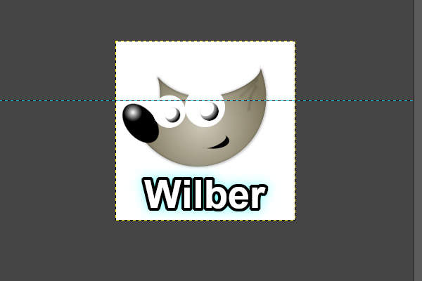 3. 引き出されたガイド