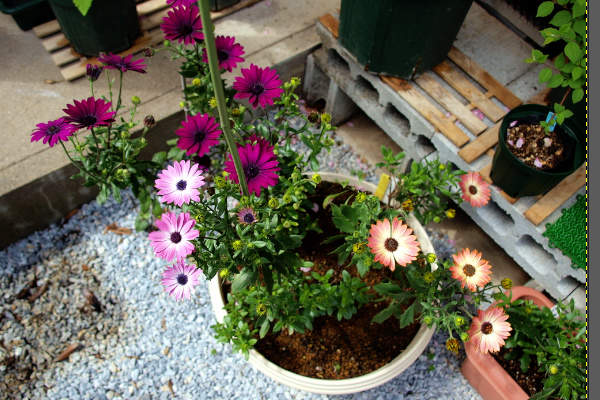 7. 補正後の写真