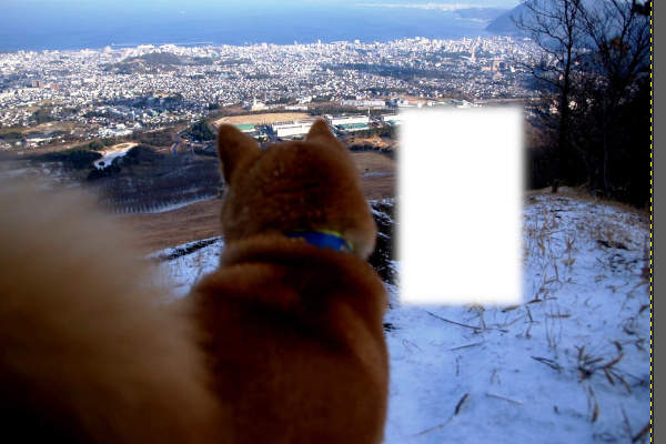 7. 切り取り結果