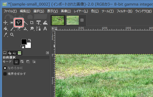 3. 自由選択ツールを選択