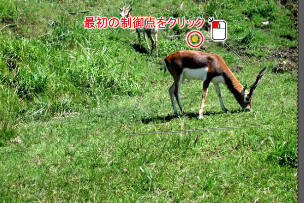 6. 囲みを閉じる