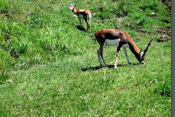17. 選択範囲がぼける