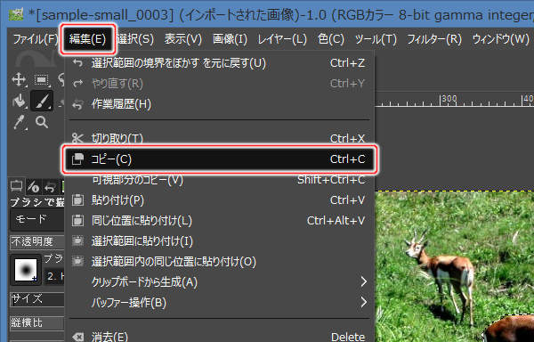18. 編集(E) -> コピー(C)を実行