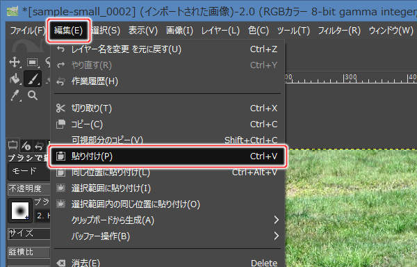 19. 編集(E) -> 貼り付け(P)を実行