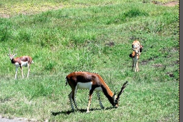32. 選択範囲の境界の色が馴染む