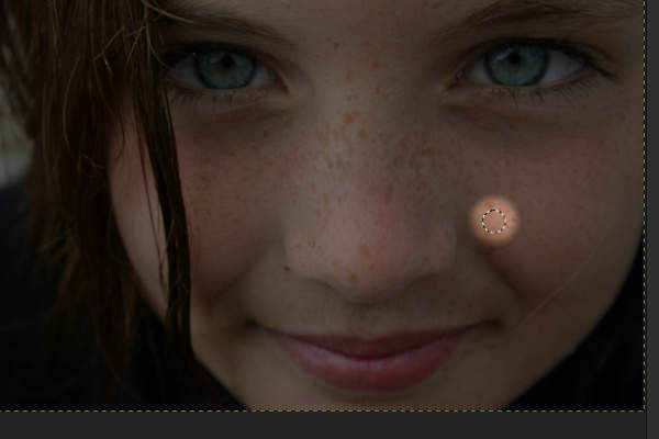 4. 転写元が確定