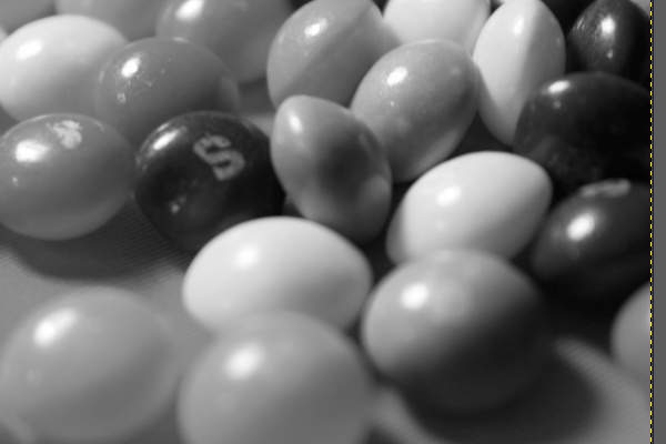 6. モノクロ化された写真