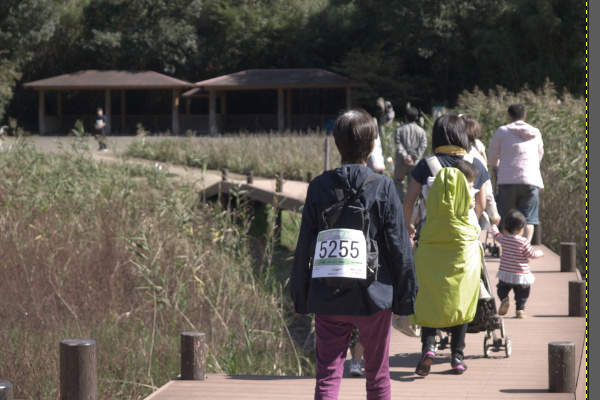 1. 補正前の写真