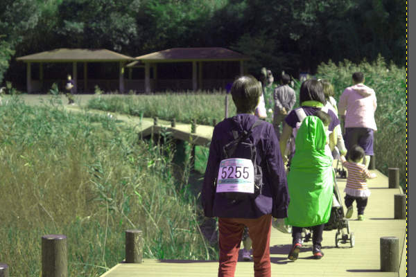 6. 補正後の写真