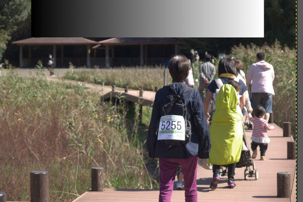 1. 補正前の写真