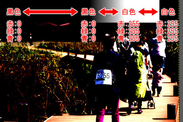 14. モノクロバーの変化