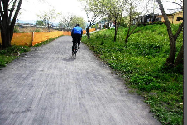 4. 反転後の画像