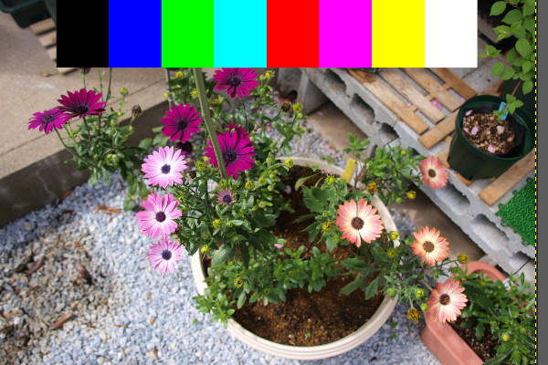 1. 補正前の写真