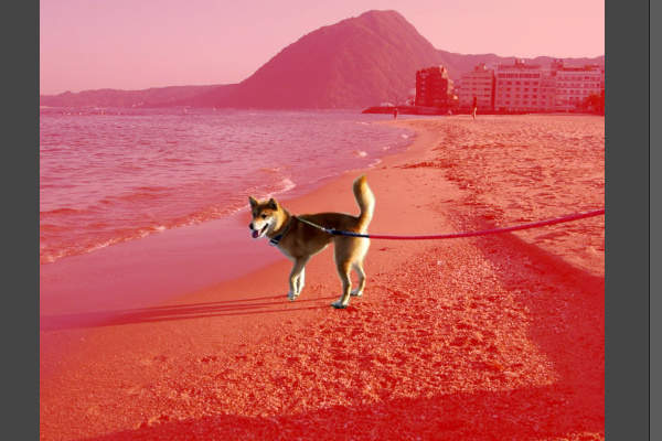 11. 未選択部分を塗る