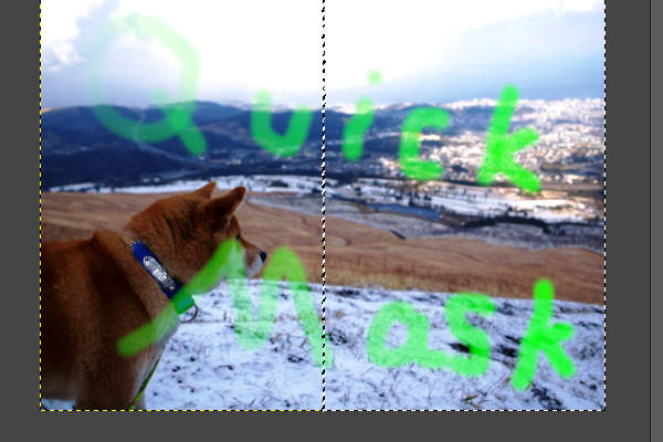 10. 筆塗りの結果