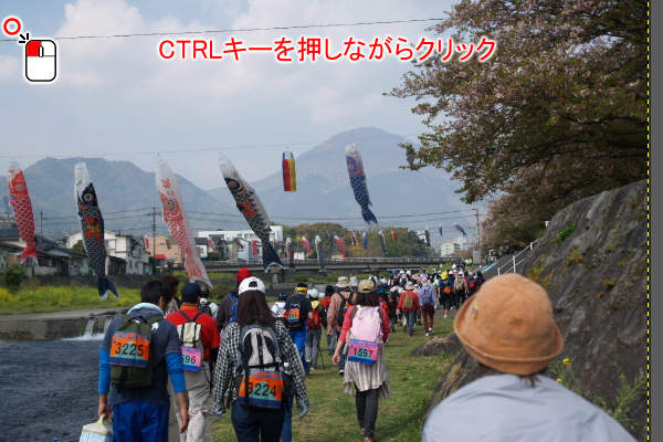 4. 転写元を指定