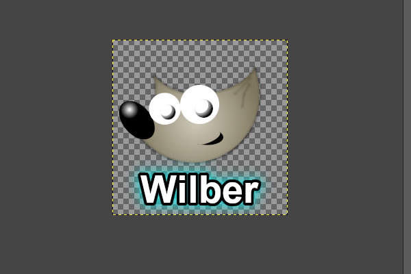 6. 現在のウィルバー君の姿