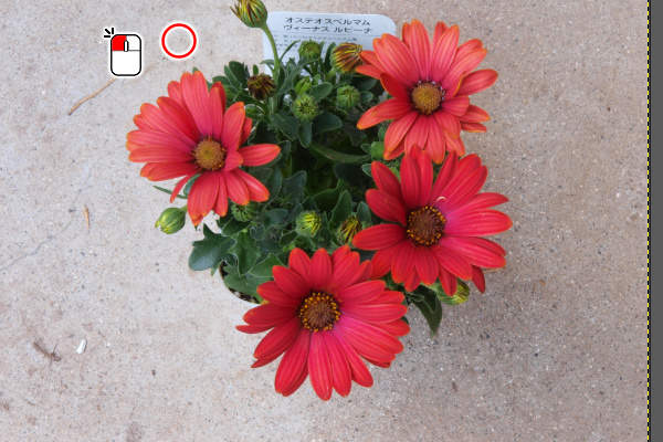 3. 左上の花やや上をクリック