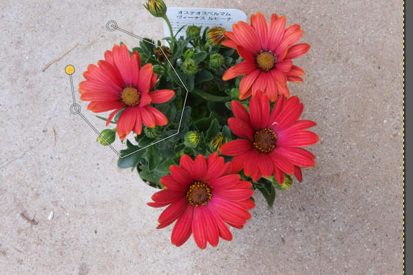 6. クリックの結果