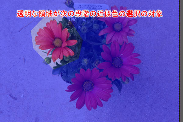 8. 囲んだ領域の外側が着色される