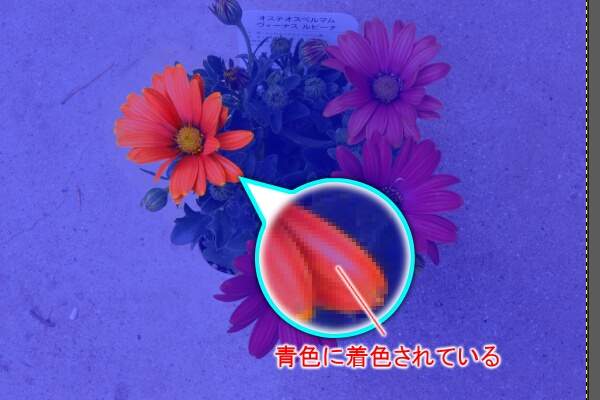 10. 左上の花が選択範囲となる