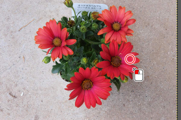 3. 赤色の場所をクリック