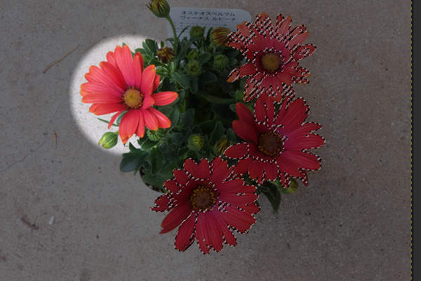 9. 離れた赤色の部分は選択されていない