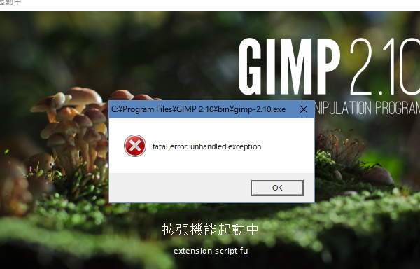 15. エラーが発生してGIMPは起動しない