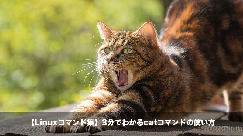 linux catコマンド