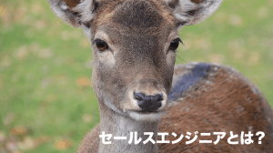 セールスエンジニアとは？