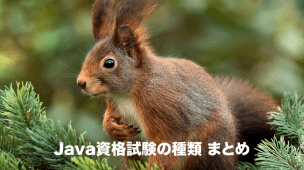 java資格試験の種類