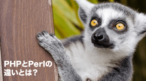 PHPとPerlの違いとは