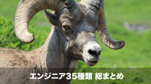 エンジニアの種類 総まとめ