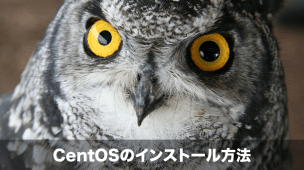 centosのインストール方法